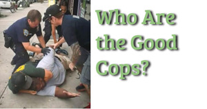 Who Are the Good Cops?