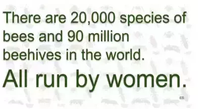 90 million beehives run by women