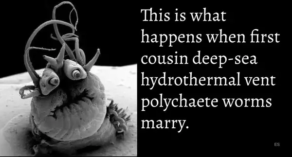 When first cousin deep sea worms marry.