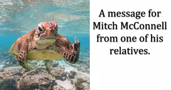 Mitch McConnell relative