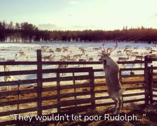 They wouldn't let poor Rudolph...