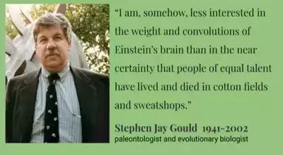 Stephen Jay Gould quote