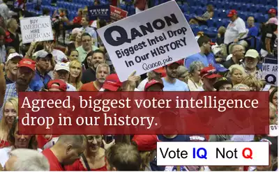QANON voter intelligence drop